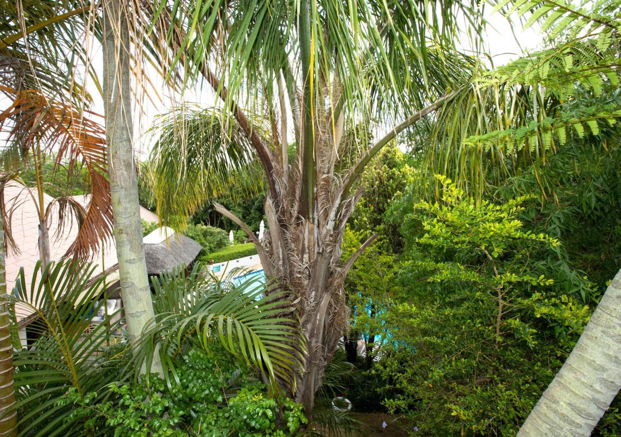 Hotel Hazelwood House Stellenbosch Exterior foto